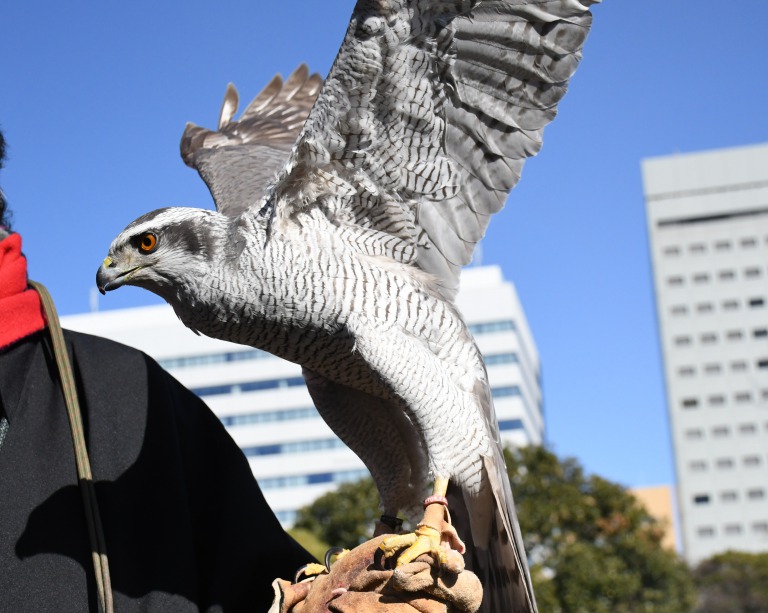 鶏酒問屋はや川 上野 焼鳥・串焼き ネット予約可ヒトサラ