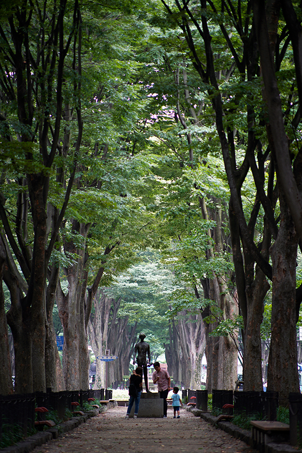 宮城のおすすめドライブスポット10選！定番から絶景穴場スポットまで紹介なっぷ