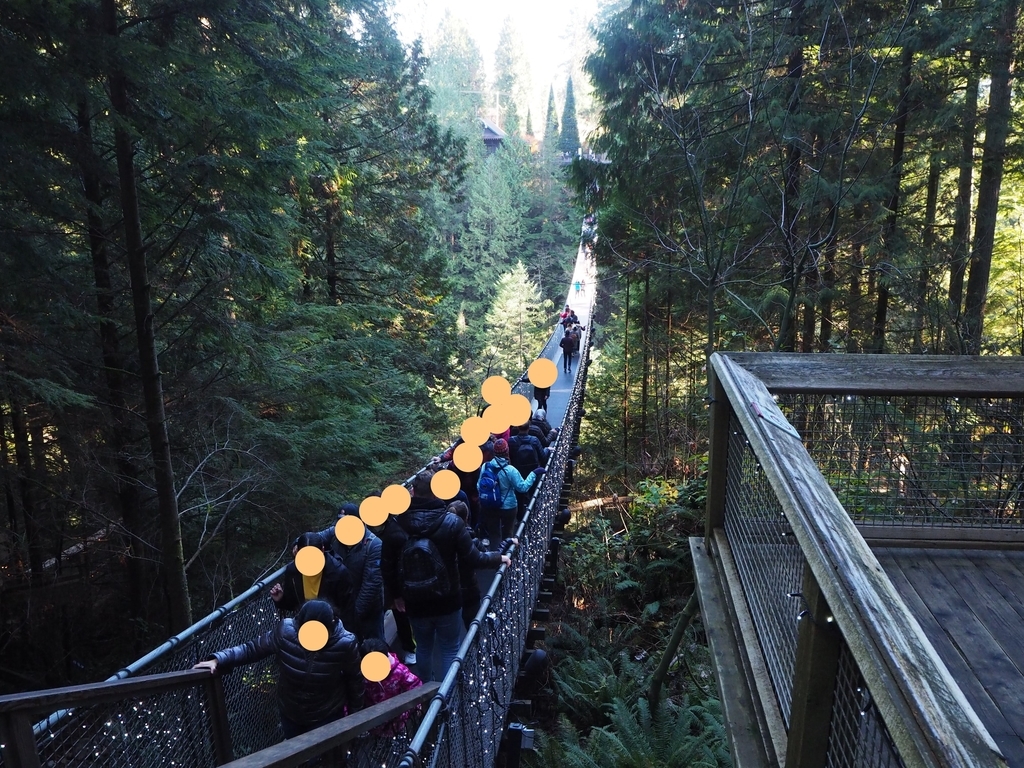 キャピラノ吊り橋は怖い？森林や崖も楽しめるスポットノースバンクーバーカナダ好き