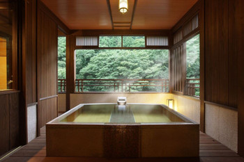東京都内にいるのを忘れそうな、和モダン旅館でホカンスのススメMORE