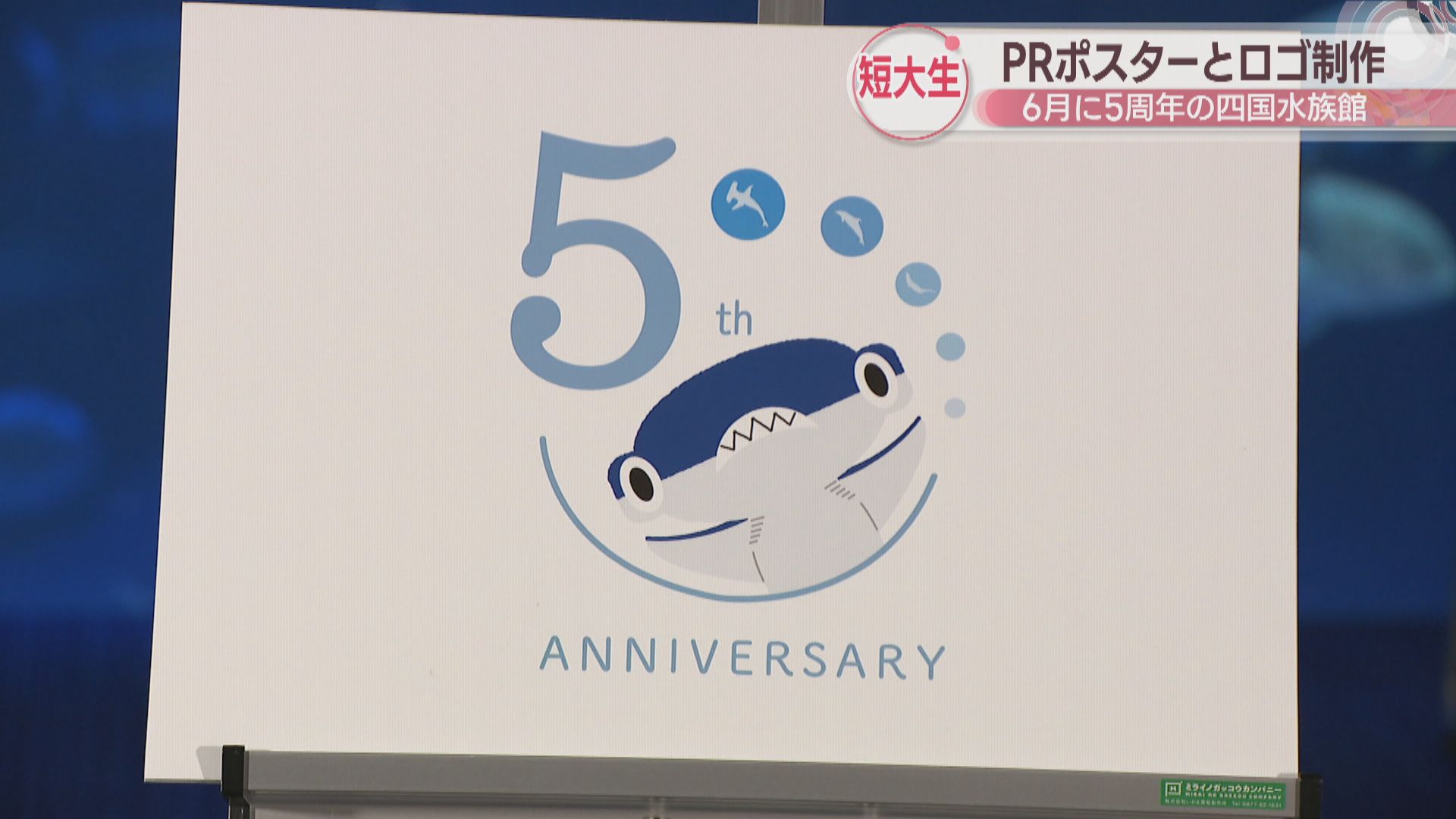 四国水族館 2枚10末追記あり 四国水族館が先着2000枚限定で