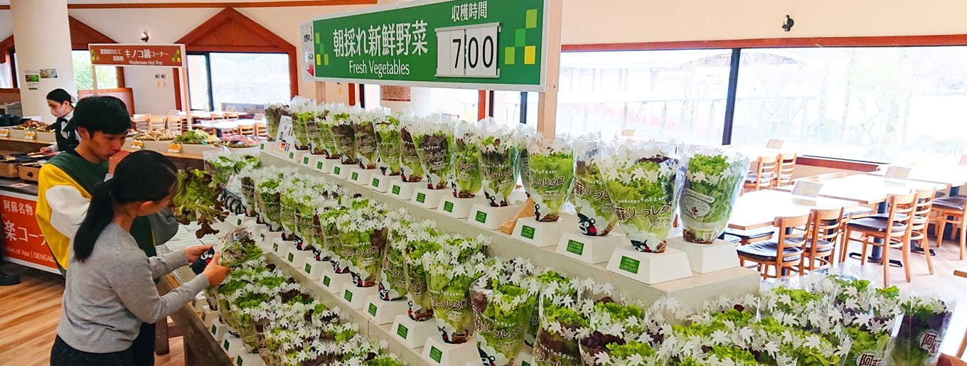 九州最大の大自然健康テーマパークでグランピングを愉しむことが