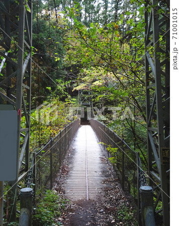 御岳山遊歩 - 奥多摩・御岳山の宿麻知家