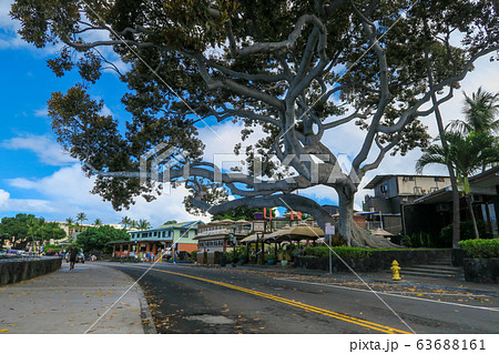 画像・写真：注目のパワースポット「ハワイ島」 就航初便の旅 58 65