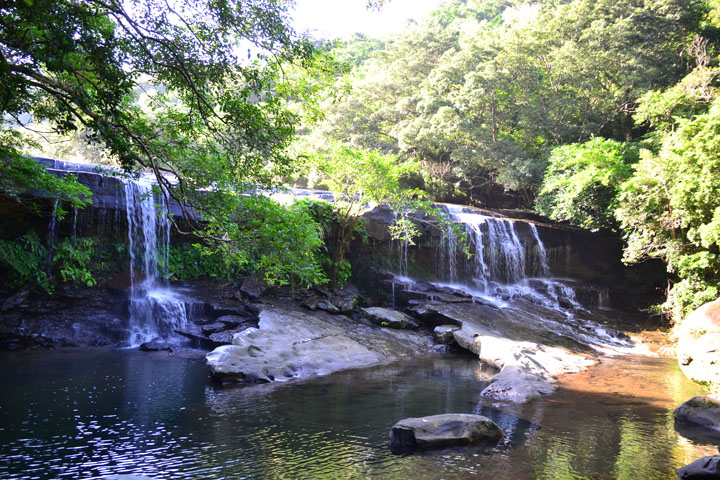 マングローブカヤック カヌー のプラン
