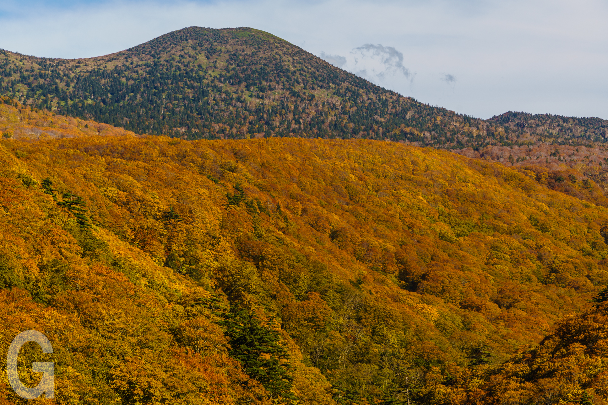 日本青森県 城倉大橋紅葉見頃🍁🚙 ＝＝＝＝＝＝＝＝＝＝ 🌈 FOLLOW