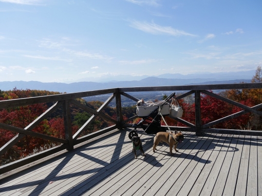 信州の指折り紅葉スポット「横谷渓谷」に出掛けよう