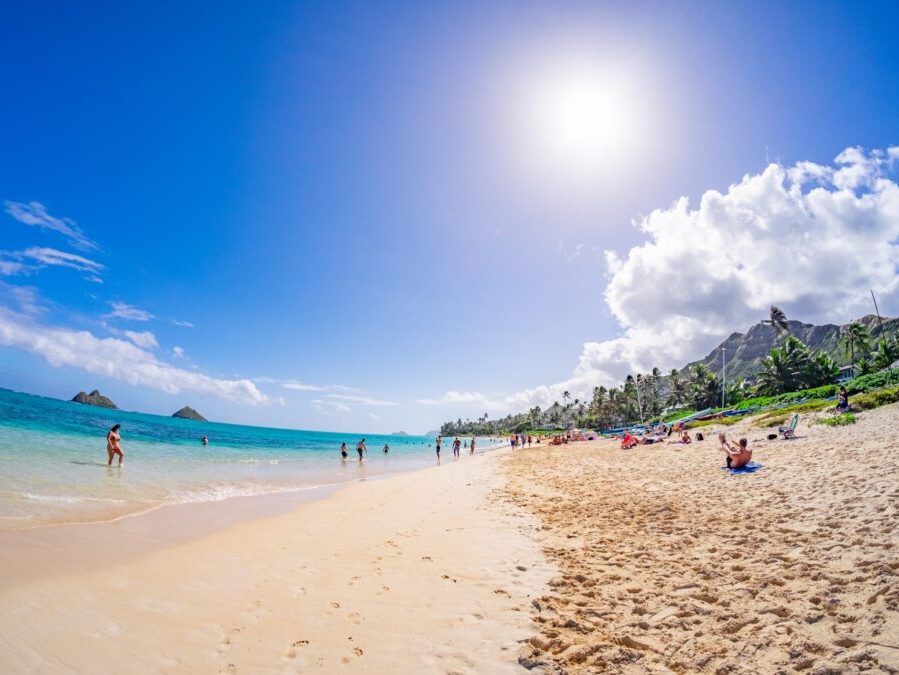 世界の暮らし365日シリーズ自由国民社