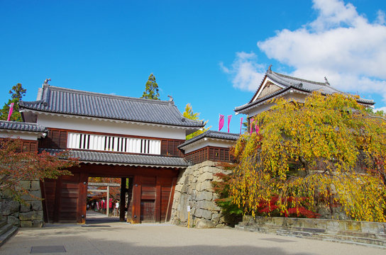 冬の朝の上田城 10247019550 の写真・イラスト素材アマナイメージズ