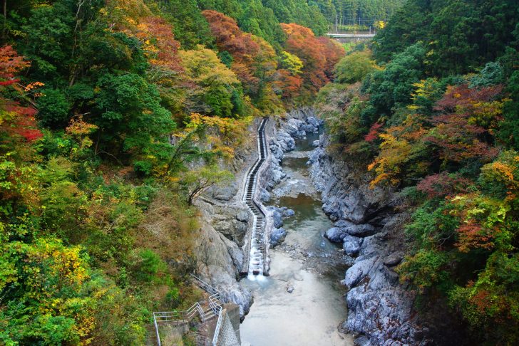 魚道 奥多摩のおすすめスポット☆魚専用の道ショートver. 白丸調整池ダム