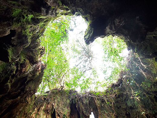 大分の人気おすすめ観光スポット40選！温泉以外も大満喫！RETRIP リトリップ