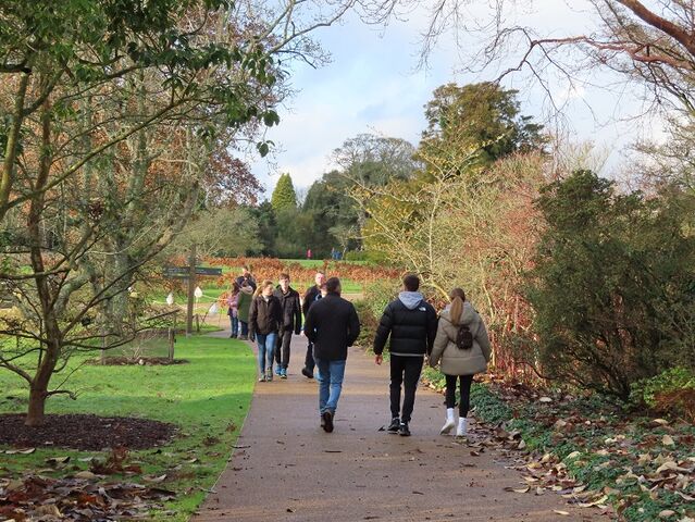 イギリスの秋を満喫：絶景の紅葉スポットを巡ろうスポット10選 - 海外在住日本人向けポータルサイト