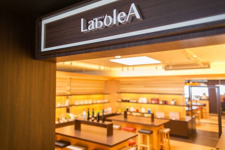 2024年6月20日 千年続くオリーブの森づくりに参加できる宿泊プラン 千年オリーブテラス