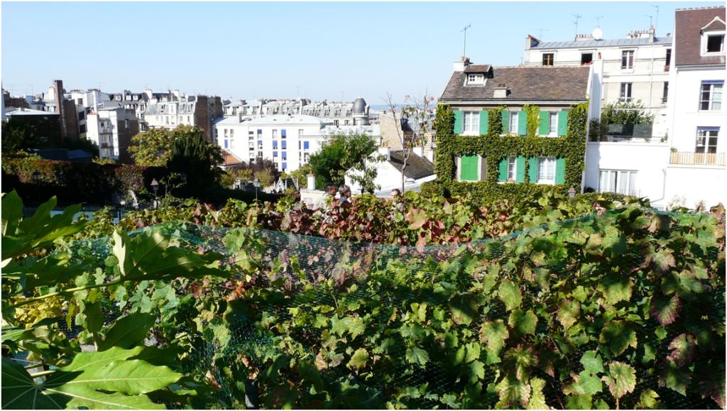 ツール・ド・フランス第21S ポガチャルが2年連続4度目の総合優勝 - PRESSPORTS