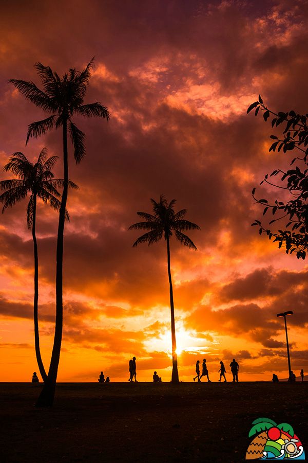 10,737 ハワイ 夕焼け Stock