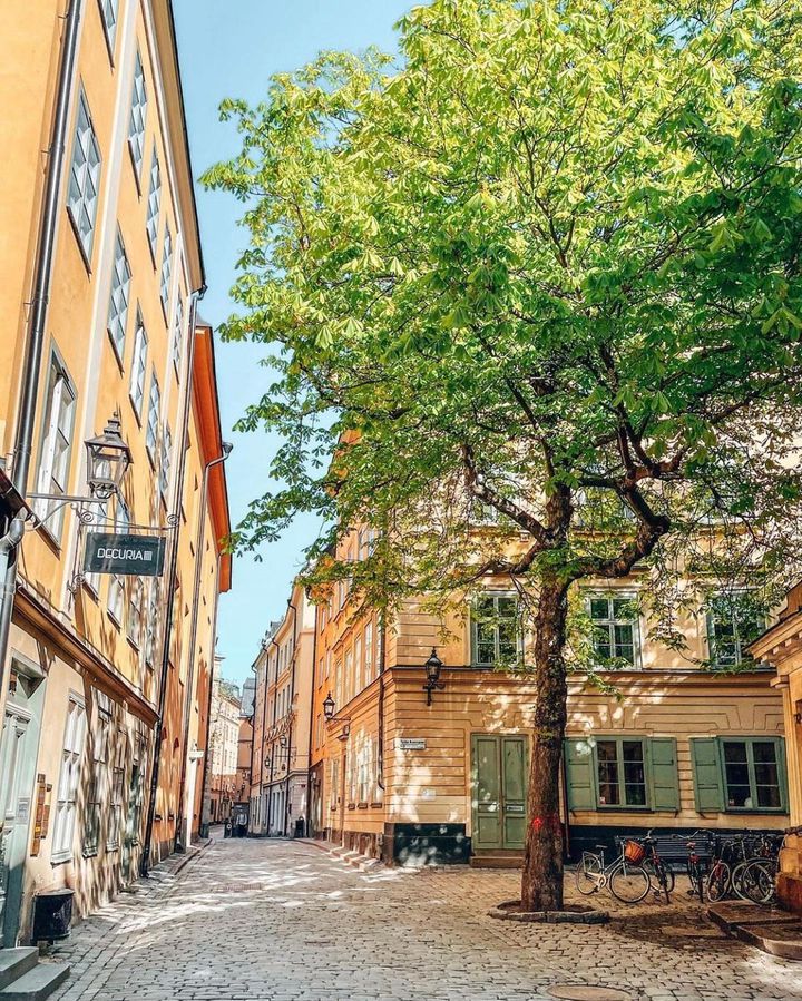 スウェーデンの人気都市6選！ストックホルムやヨーテボリなどを徹底解説NEWT ニュート