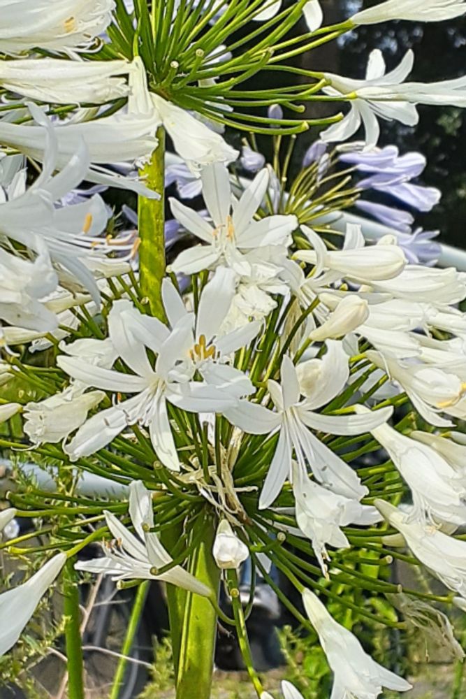 ホームズ 千島第1コーポ2号棟 大阪市大正区