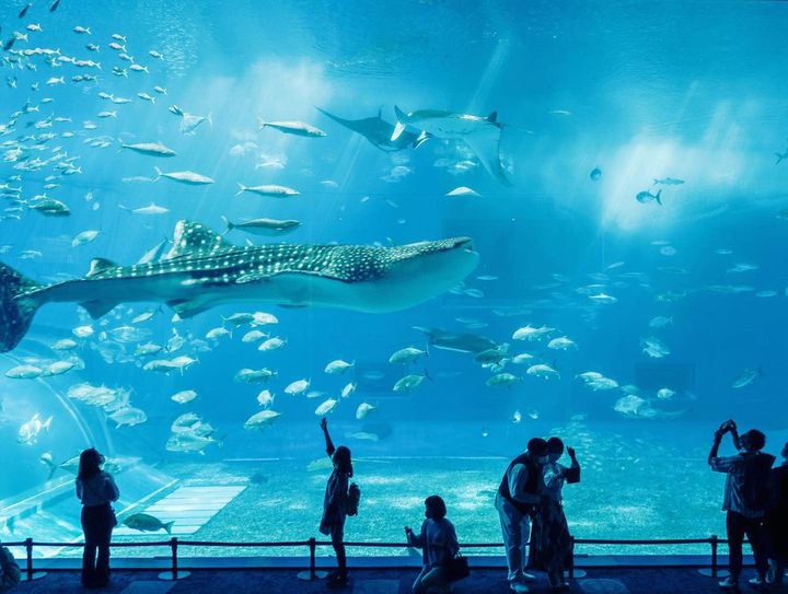 2泊3日で国内旅行を満喫！カップル・女子旅のおすすめ10選アクティビティジャパン