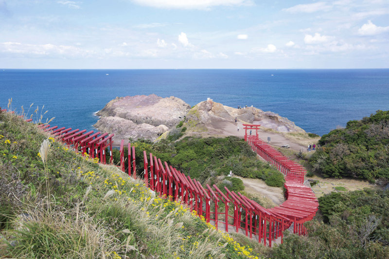 📸 『パノラマ山展望台』の写真スポット📷 カメラスタンドを設置しました！グリーンランド遊園地