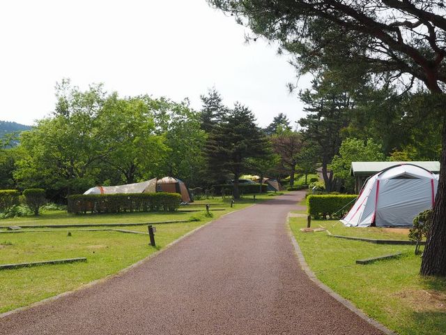 だるま山高原キャンプ場の紹介！とても優雅なソロキャンプ場所だった！minimalize gears 軽量ソロキャンプのブログ
