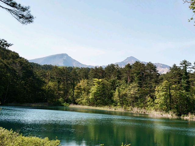 初心者にもおすすめ！神秘の湖沼群「五色沼」で気軽に絶景トレッキングを楽しもう楽天トラベル