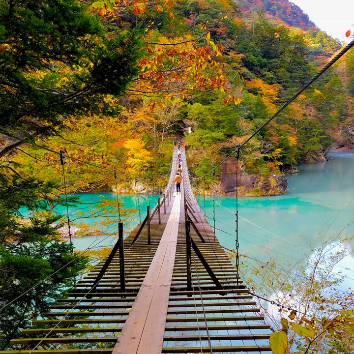 東京から日帰りで行ける！ おすすめ一人旅の行き先10選大学入学・新生活学生旅行マイナビ 学生の窓口