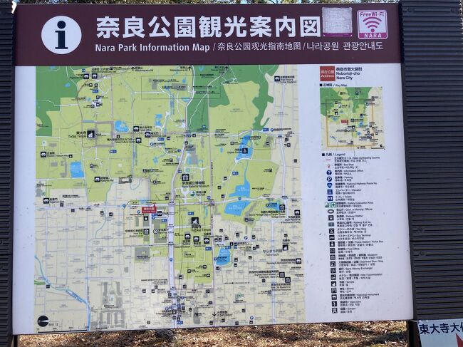 奈良県奈良市にて「奈良公園ウォークマップ」がリリース - Stroly