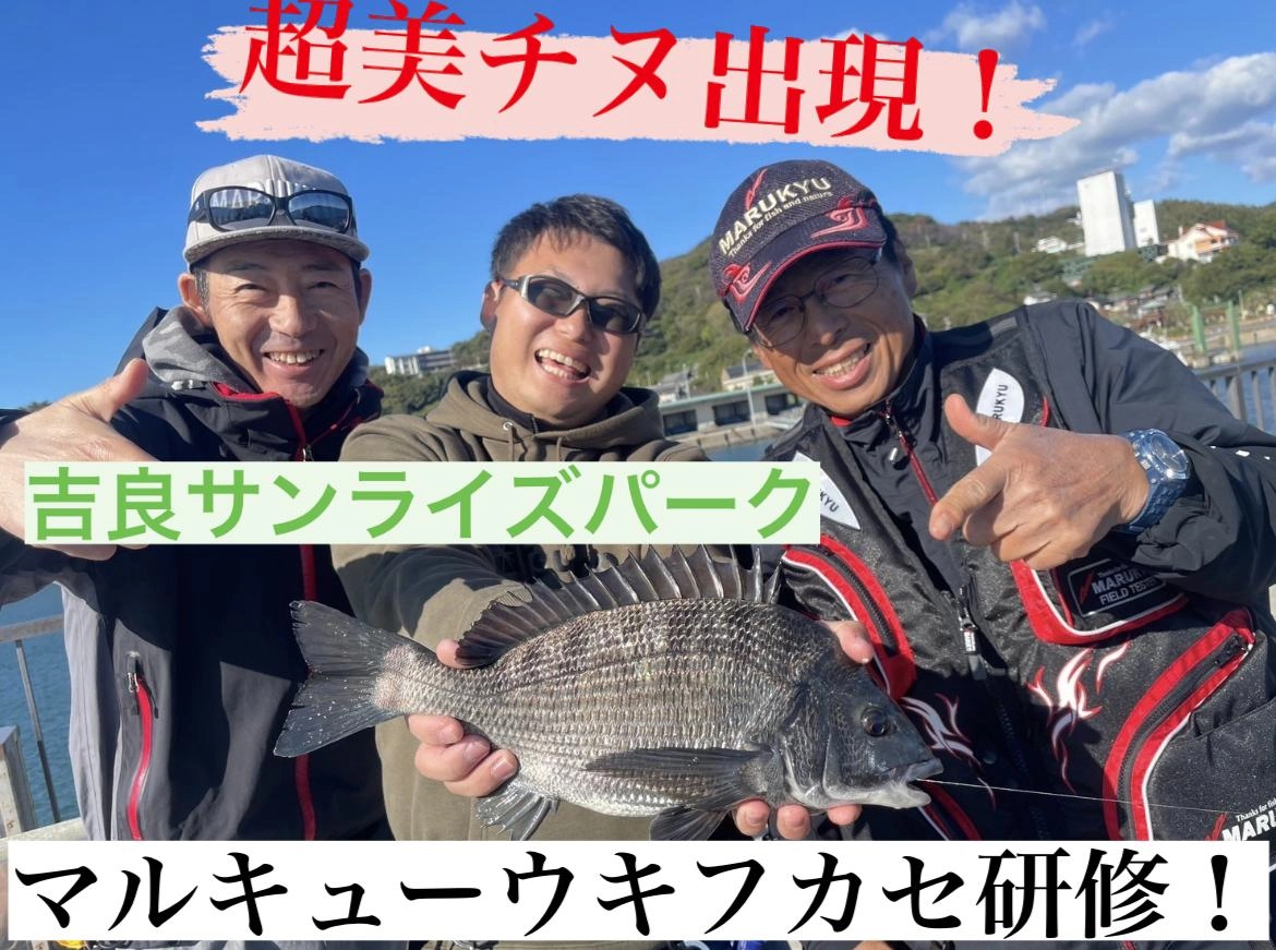 宮崎漁港 吉良サンライズパーク で釣れたサバの釣り・釣果情報 - アングラーズ釣果600万件の魚釣り情報サイト