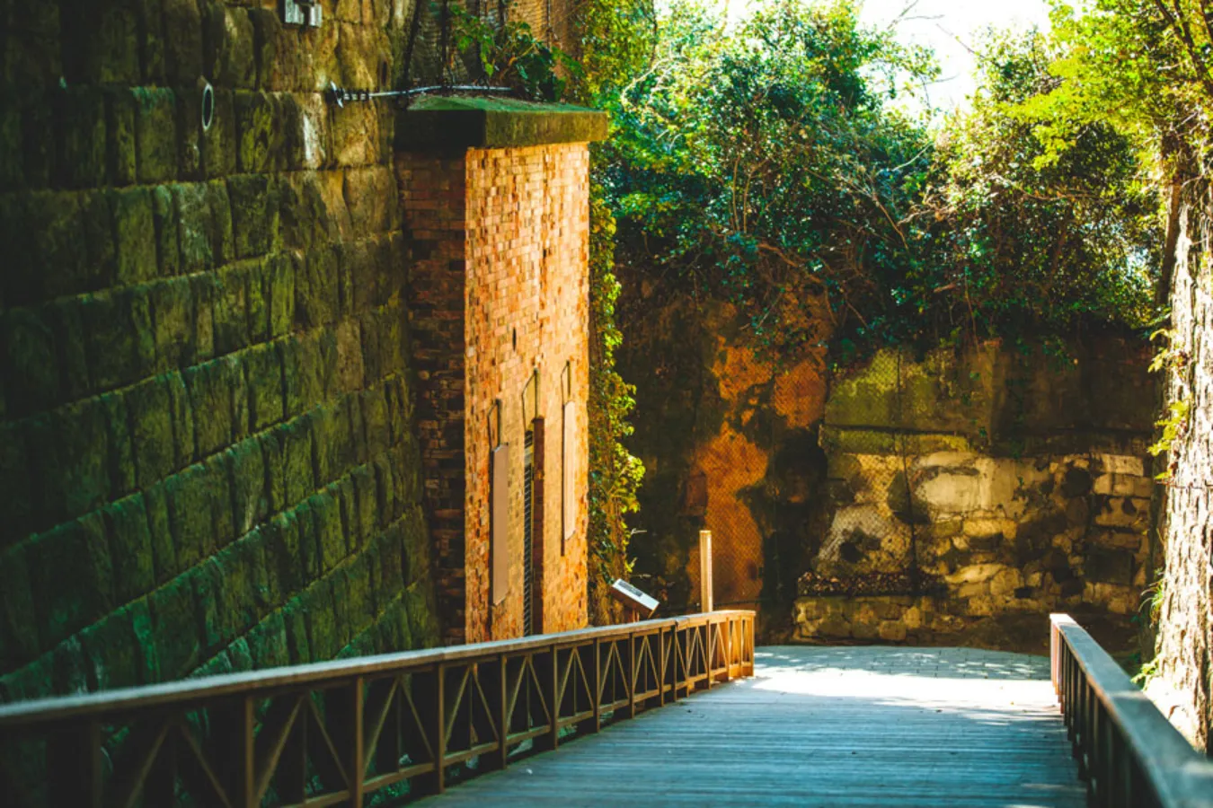 関東 日帰りの女子旅で行きたいおすすめのスポットびゅうトラベル JR東日本