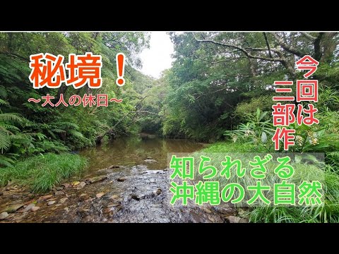 ガイド貸切ツアー 森、川、海などやんばるの自然に囲まれた沖縄の日常を体験する大人旅＜7時間 名護市＞by