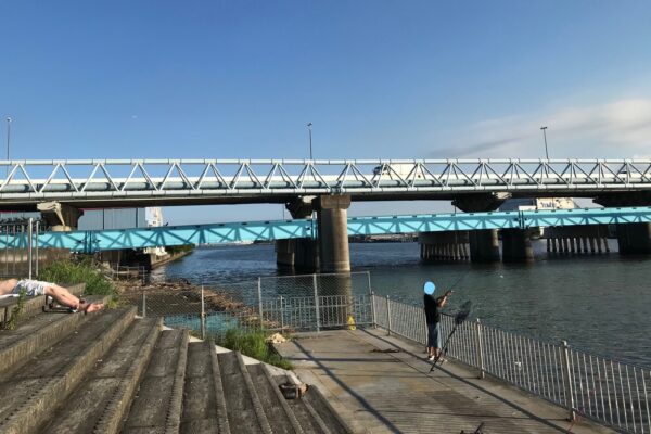ふれーゆ裏 青物も狙える横浜の穴場東京近郊釣り場情報 アクセスマップ