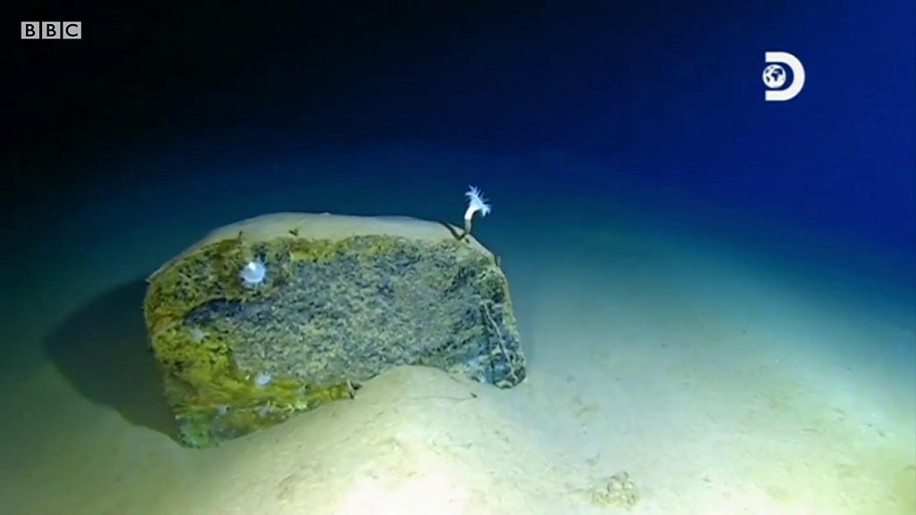 海外 マリアナ海溝沿いでM6.5の地震 2019 06 29備災生活