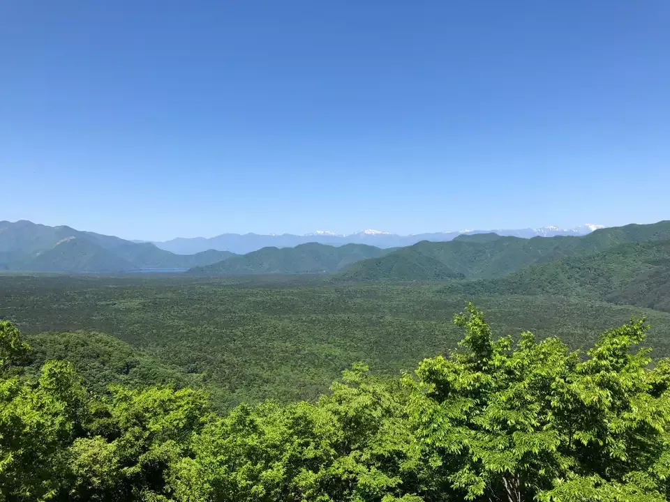 青木ヶ原樹海探検隊』山梨県の旅行記・ブログ by ほいみさん