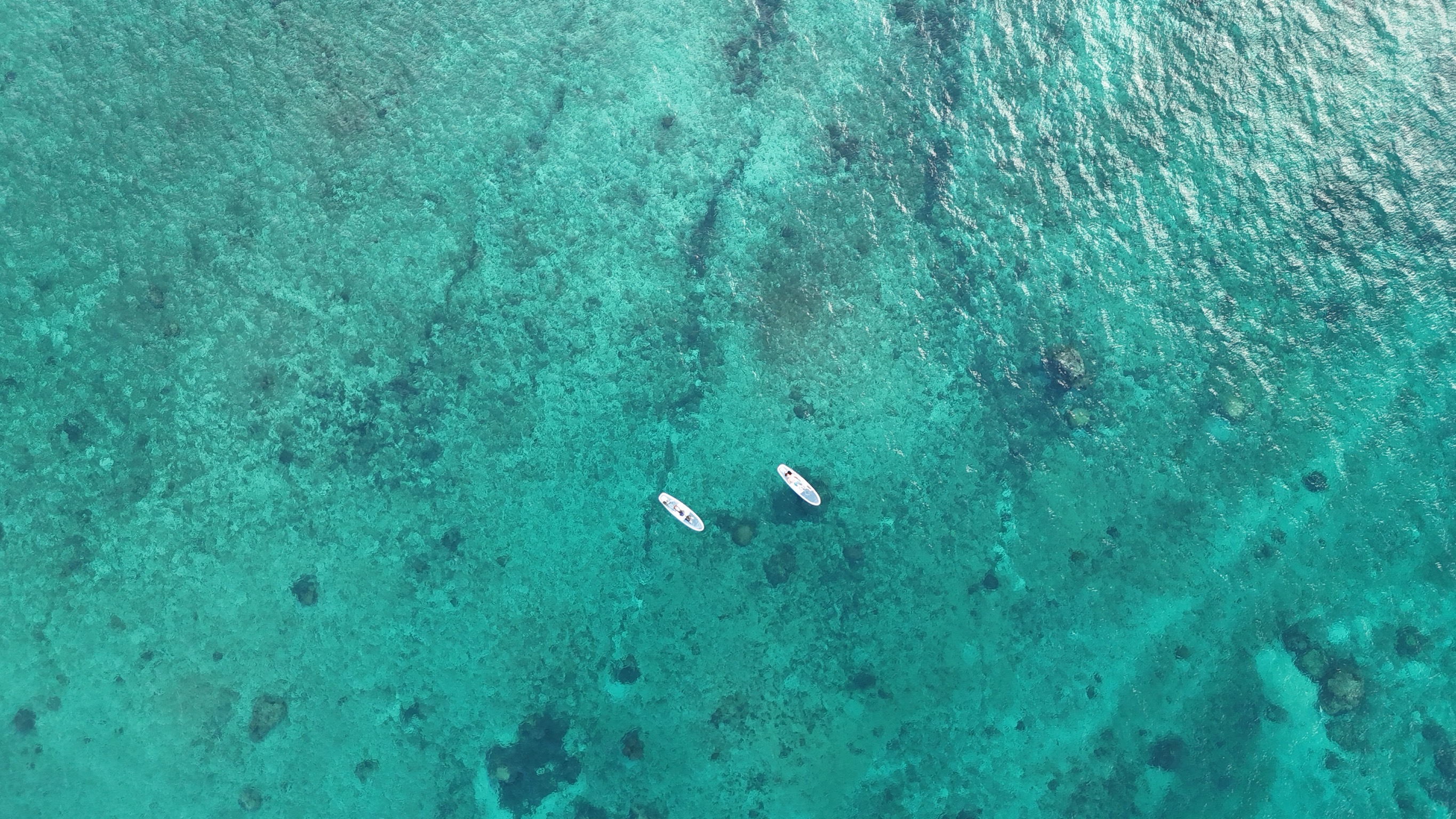 CLEAR BULL クリアブル