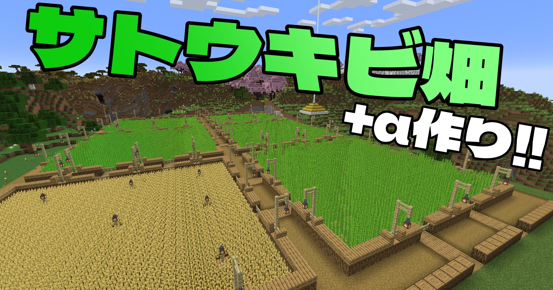 マイクラ ＃８ 整備 サトウキビ畑を作る