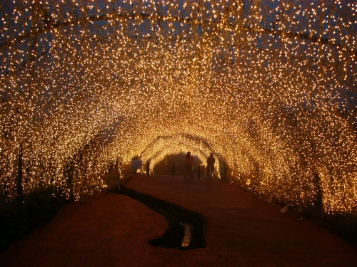 熊本県の夜景アクセスランキング夜景FAN
