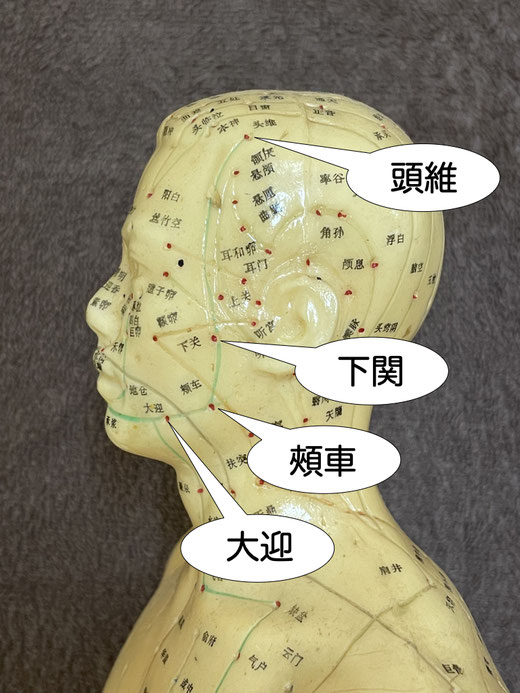 おうちで健康 ー 「ツボかるた」の販売