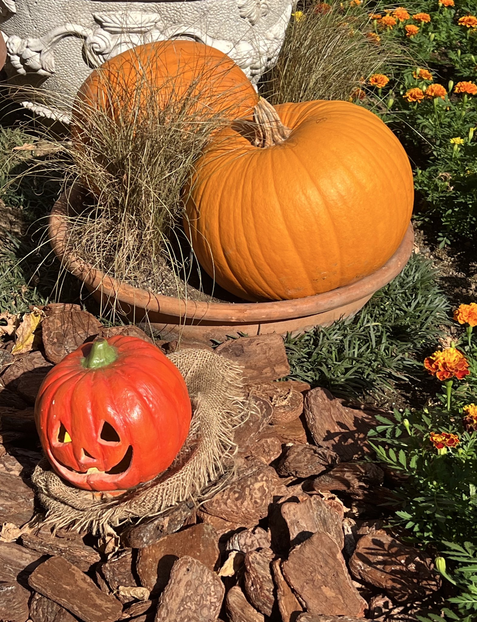 ひとり舞浜の日😌 インパしないディズニーも楽しい🙌🏻ディズニーdisneyボンボヤージュボン・ヴォヤージュイクスピTikTok