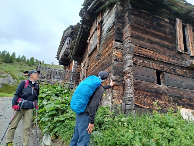 顔が黒い羊「シュバルツナーゼ」が可愛いWEBOO ウィーブー暮らしをつくる