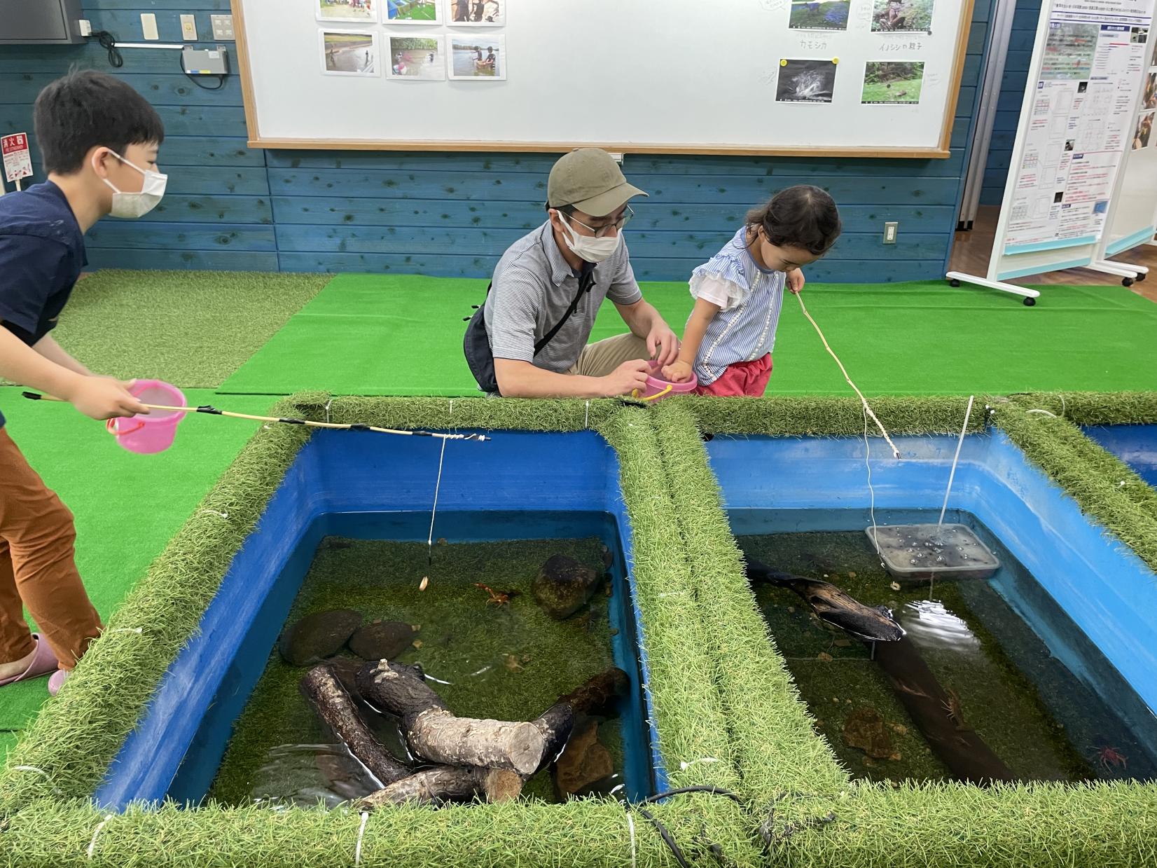 県外出身の女子二人が空きビルを丸ごと改修!?高岡遊び場計画! あそびとビル 阿部真弓 平岡のっぽ2020 02