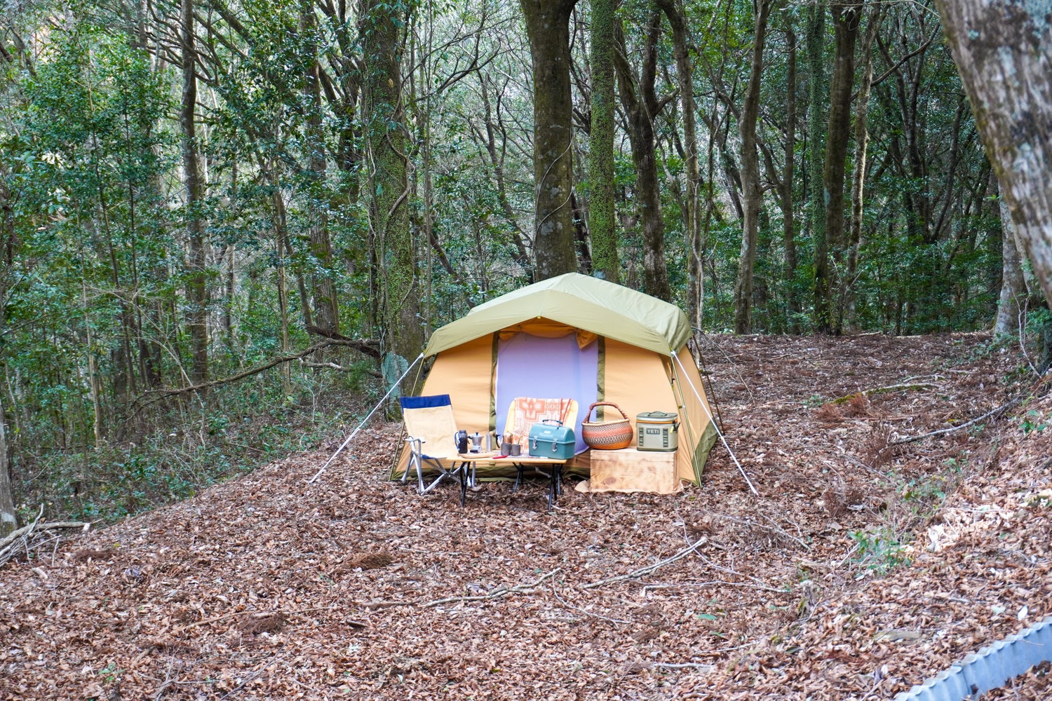 出張料理人ミツさんとKen10さんのキャンプ撮影に突撃してきた結果