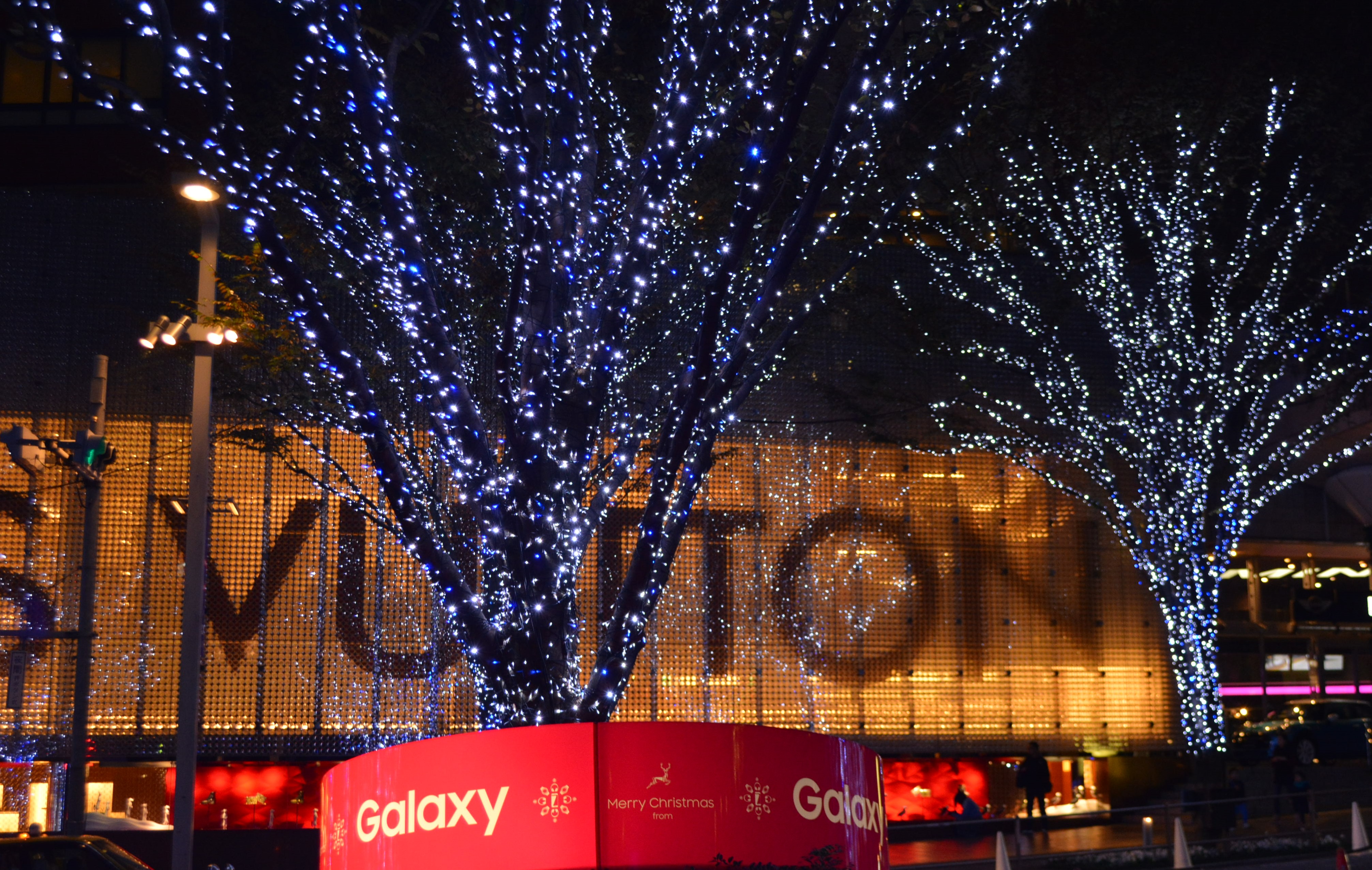 馬たちが街に、心に温かな火を灯す、六本木ヒルズのクリスマス 2024ヒルズライフ HILLS LIFE