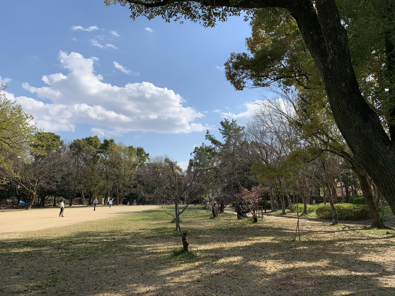兵庫県伊丹市猪名川運動公園「第３・４運動広場」 サッカーグラウンド情報河川敷の土の飛行機が見えるグラウンドで駐車場は無料です。 –\サッカーキッズ子育て応援ブログ