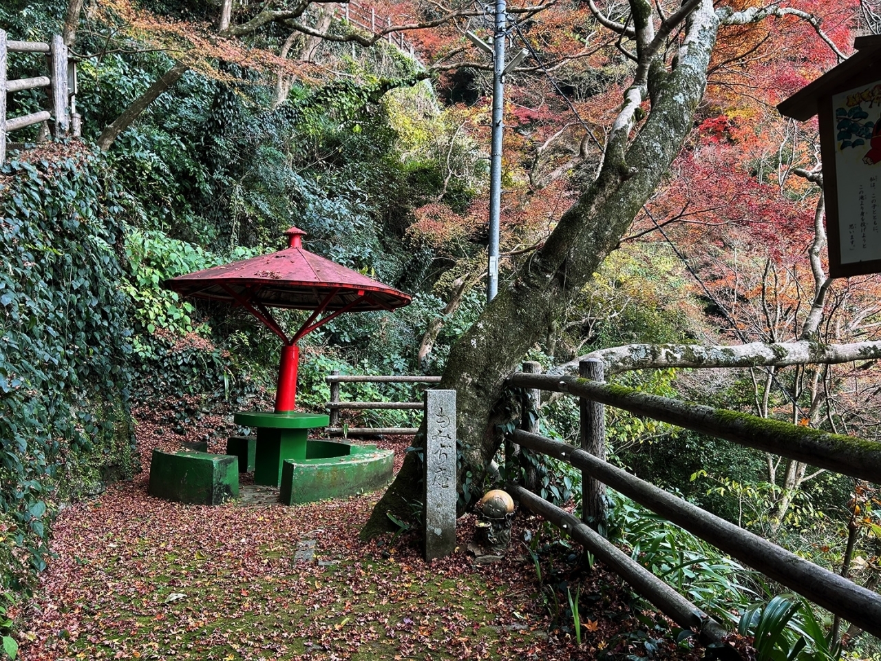 白滝公園の紅葉情報 2025- ウェザーニュース