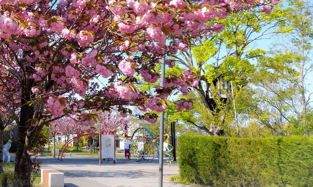 倉敷みらい公園 倉敷市岡山遊び場ぐるぐる固メ