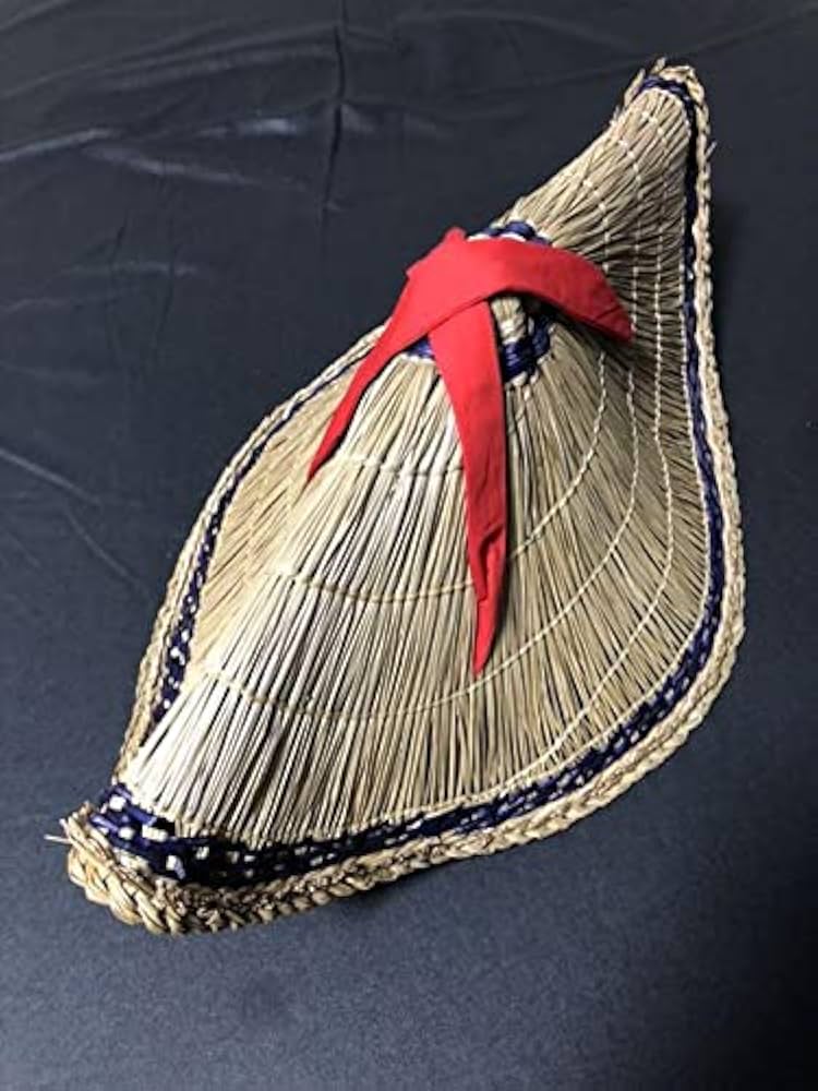 徳島市の「阿波おどり」が開幕。笠を立てて被る踊り子：阿波おどり 写真特集：時事ドットコム