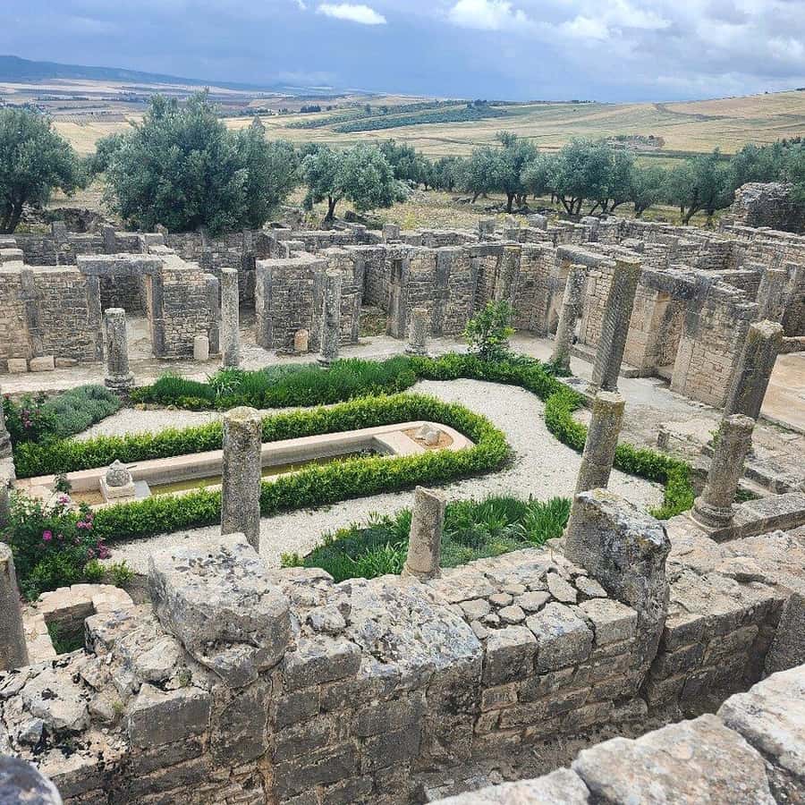 チュニジア 世界遺産ドゥッガ、ローマ遺跡ブラ・レジアを廻る 1日 英語 昼食付