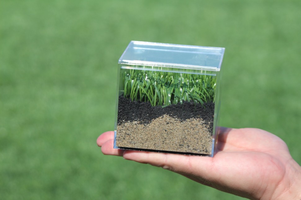 開放感あふれる神宮球場でヨガイベント 芝生に素足で立ってパワーをもらう！ - スポーツナビ