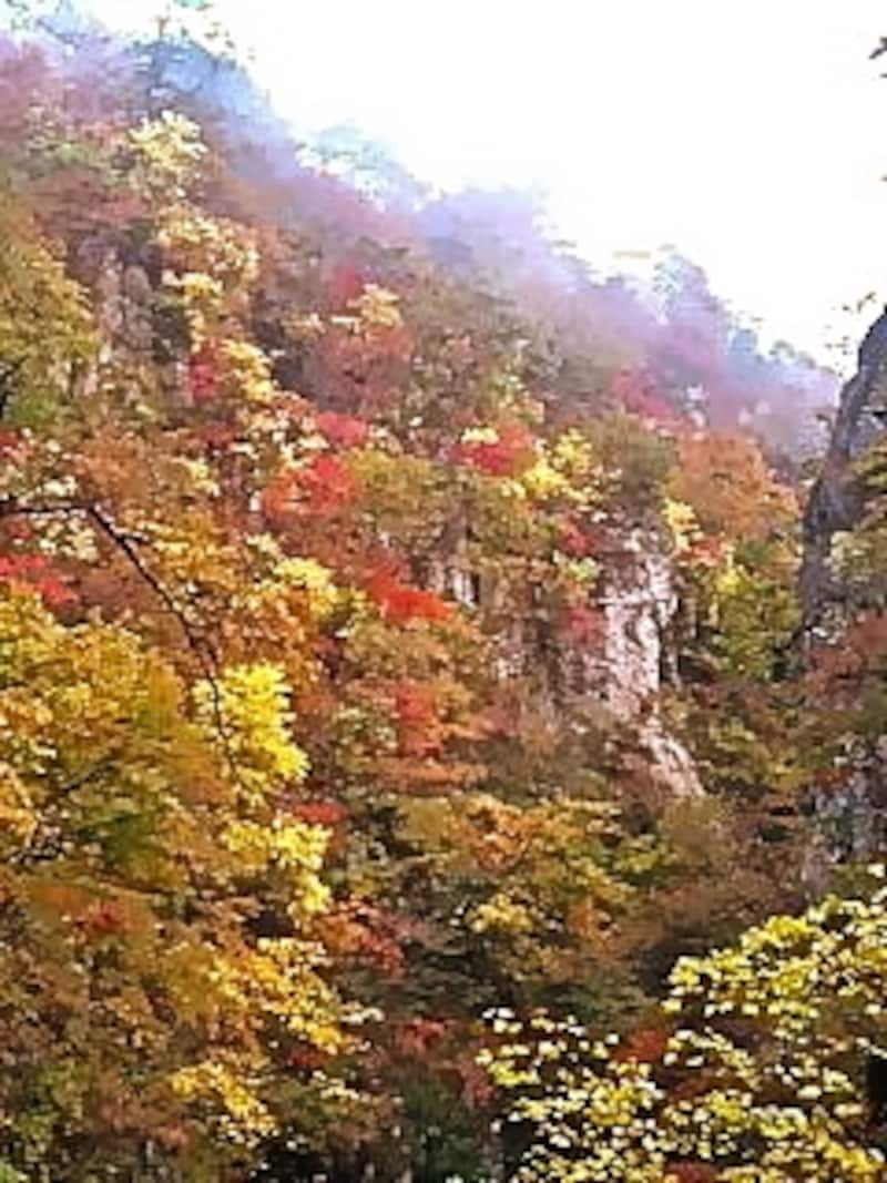 宮城県 鳴子峡紅葉スポットAll About