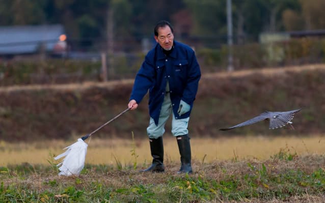出版社勤めだった女性が月に2万ドル稼ぐ「鷹匠」になった理由クーリエ・ジャポン